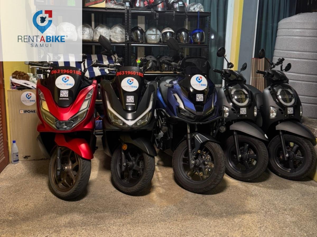 Long Term Scooter Rental Samui: Monthly Discounts Guide long term scooter rental samui monthly discounts guide